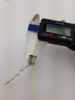 CIGWELD 8 Pin Male Plug UOA706900 for Cigweld Machines - Image 5